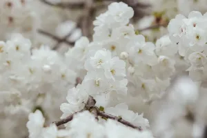 Was, wenn nicht nur die Natur gerade aufblüht - sondern auch DU?